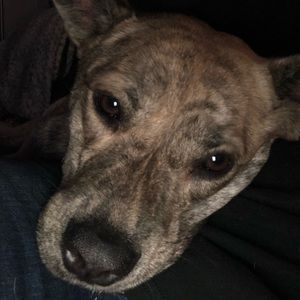 Meet your Posher, Becci